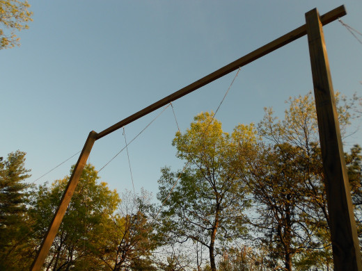 Trellis from below