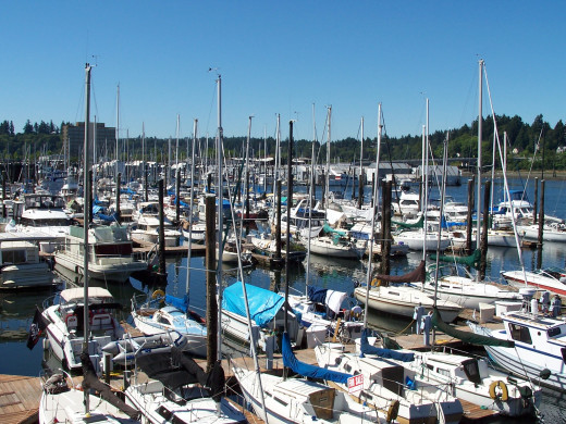 Crazy google searches can even happen on a boat.