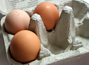 Eggs are nutrition and cheap.