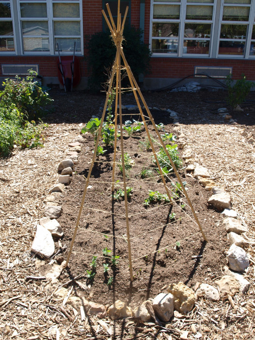 You can use garden compost in your school vegetable or flower garden to add nutrients to the soil.