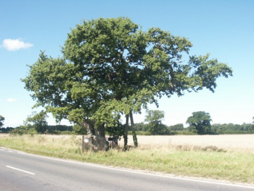  Kett's Oak, Hethersett.