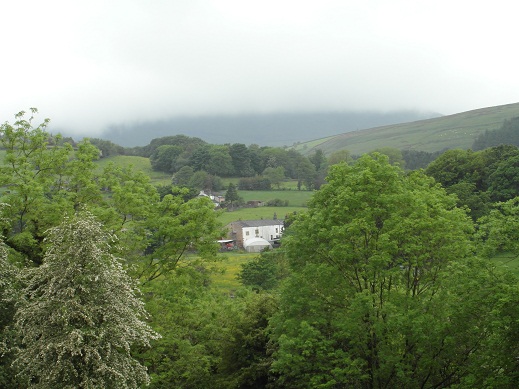 Pendle in cloud from Roughlee
