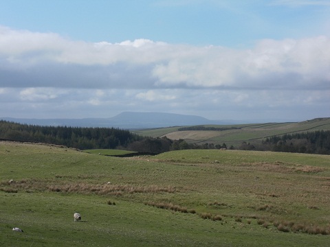 Pendle from near Settle, North Yorkshire
