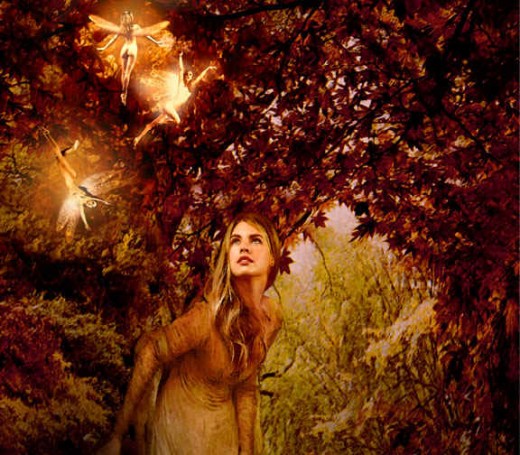 how to find real fairies exemplore
