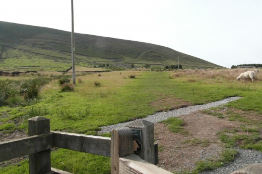 gate to field near Pendle Big End (P2)