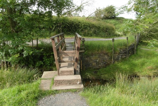 Wooden footbridge (P1)