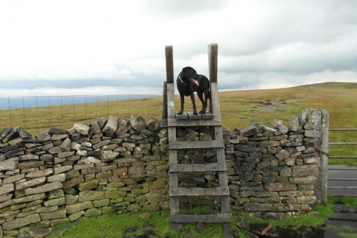 Pendle difficult stile (P3)