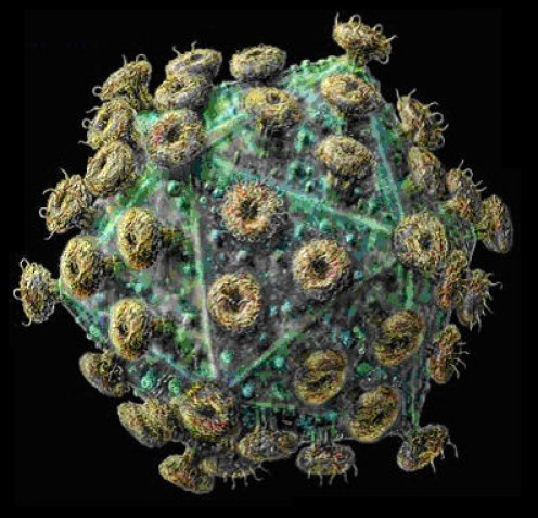 Did The AIDS Virus Come From Aliens? Did The AIDS Virus Come From Aliens?