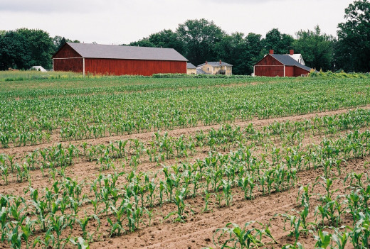 New England Farm