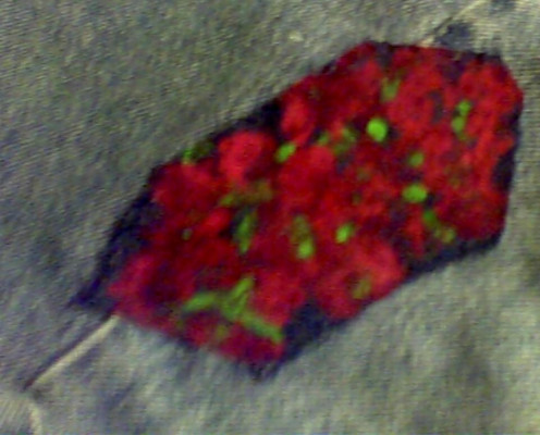 Patch painted in red flowered design, let dry and iron onto jeans.