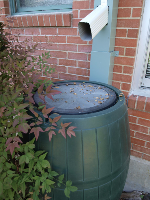 Rainwater barrels start kids thinking about saving water at school and home.