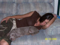 The Weimaraner I Call My Best Friend