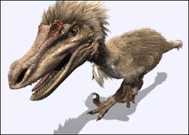Animal Planet's portrayal of Velociraptor in their documentary "Dinosaur Planet"