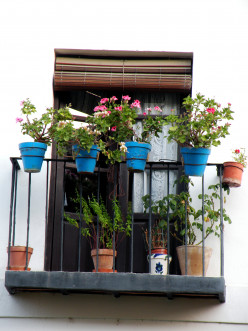 http://s2.hubimg.com/u/6943253_f248.jpg