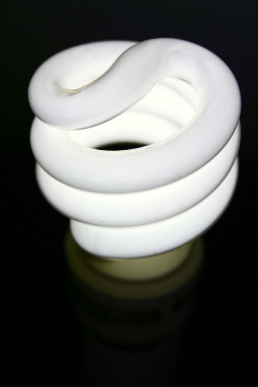 Replace old light bulbs with energy efficient ones.