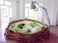 10 Cool and Unusual Beds