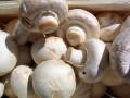 Barbecue Crab-Stuffed Mushrooms