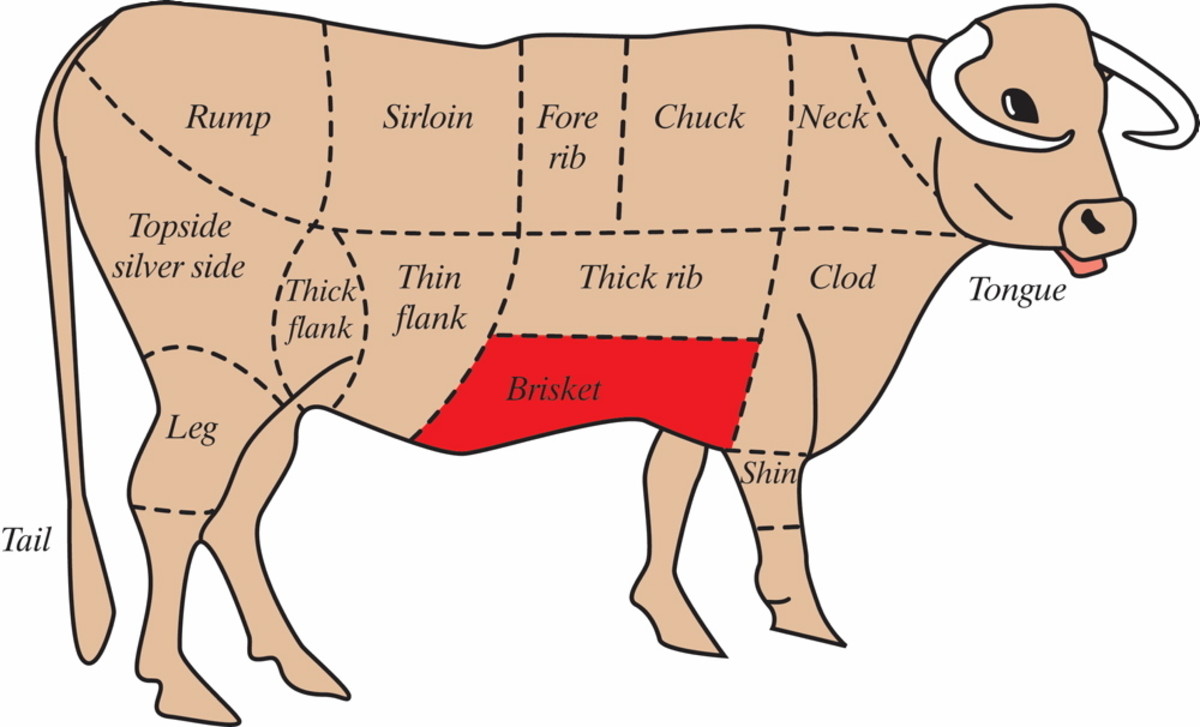 Diagram Of How To Butcher A Beef Cow