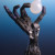 The Shadow robot hand system The Shadow robot hand system