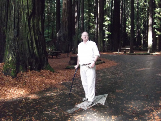 Amidst and among the Redwoods, on a cool Summer morning in an even-cooler Grove.