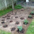 My Vegetable garden in early May 2012 My Vegetable garden in early May 2012