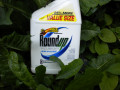 Monsanto, GMO and the World's Food