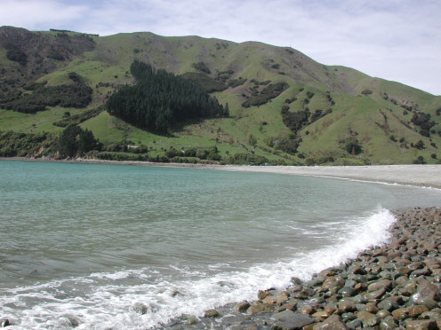 Cable Bay beach in the Nelson Region. Pepin Island in the background.