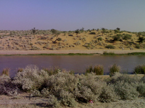 I HAVE SEEN THIS CANAL WHICH HAS TURNED GAGANAGAR RICH BY AGRICULTURE.