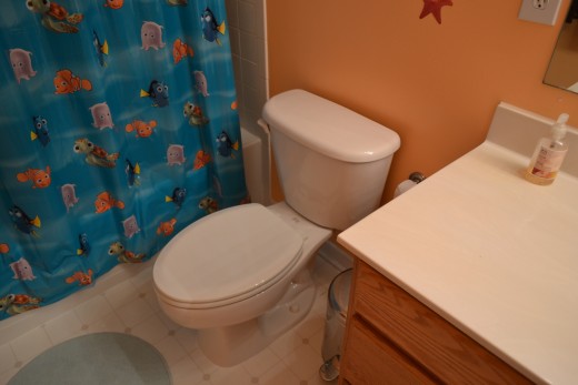 Put the toilet seat down when preparing for showings