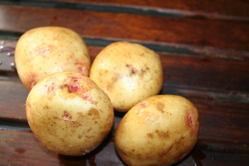 New Potatoes after being washed clean