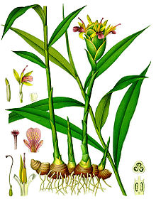http://s3.hubimg.com/u/6963278.jpg
