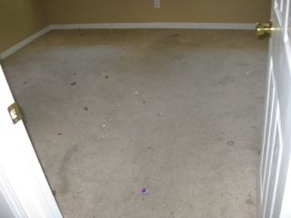 pic of stained carpet