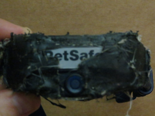 This is the last semi functional PetSafe collar we have left.  The tape is holding it together after Abby bit down on the seam connecting the face plate and the back plate, it took only one well placed bite to break off the face plate.