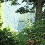Solitarytripper profile image
