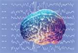 Brain waves can give us a great deal of insight into when and where optimal learning can take place. 
