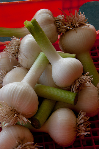 Garlic is a great alternative for treating colds