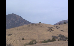 Nothing Funny About It