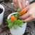 Dig out the boredom away by doing some little gardening. Dig out the boredom away by doing some little gardening.
