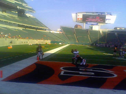 Bengals rookie Mohamed Sanu Shows His Knack for Grabs in the Red Zone