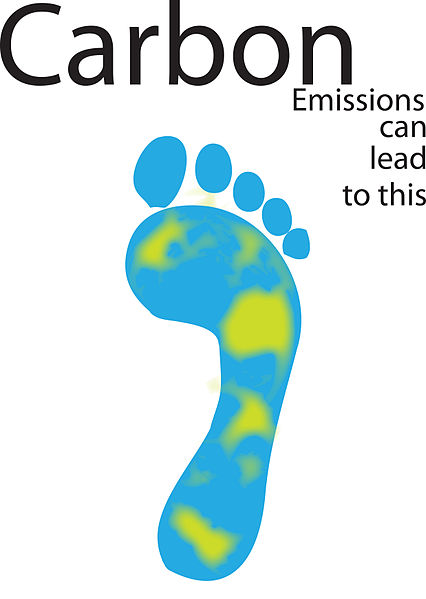The carbon footprint.
