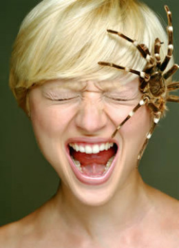 https://usercontent1.hubstatic.com/6976544_f260.jpg
