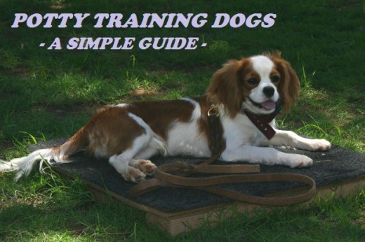 Potty Training Dogs - A Simple Guide