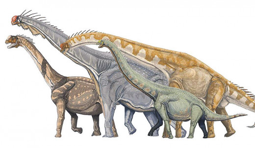 left to right Camarasaurus, Brachiosaurus, Giraffatitan, and Euhelopus