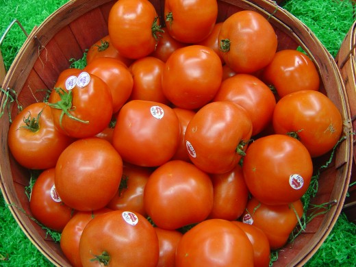 Fresh and slightly mushy tomatoes are good to use in making Dalmatian Salsa Base.