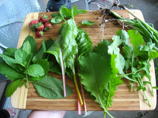 Twice-weekly harvest from a patio salad garden.  It doesn't look like much in photos, but wait until you have to eat it ;-)