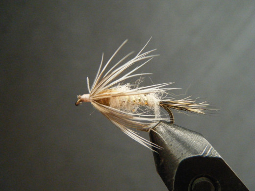 The squirrel tail nymph is a classic cold, freshwater fly with the tail of squirrel fur, body of fox fur and wool, hackle of a partridge feather.  