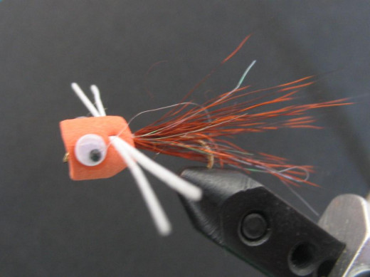 The orange popper, a typical warm, freshwater fly with a deer hair tail, foam body, rubber legs, and plastic google eyes.
