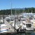 A marina near the Yacht Club A marina near the Yacht Club