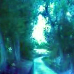 Revealed with a camera phone an Angel on my path.