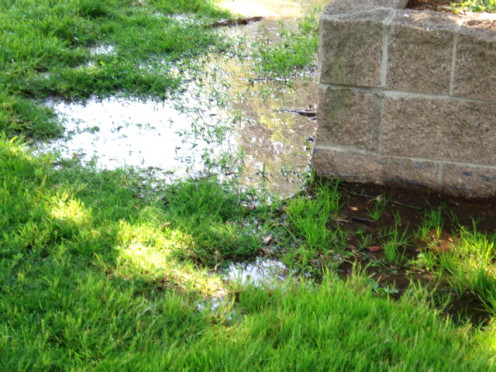 Irrigation Leak - Easy to find, this leak can still waste less than a leak underground that no one ever sees.
